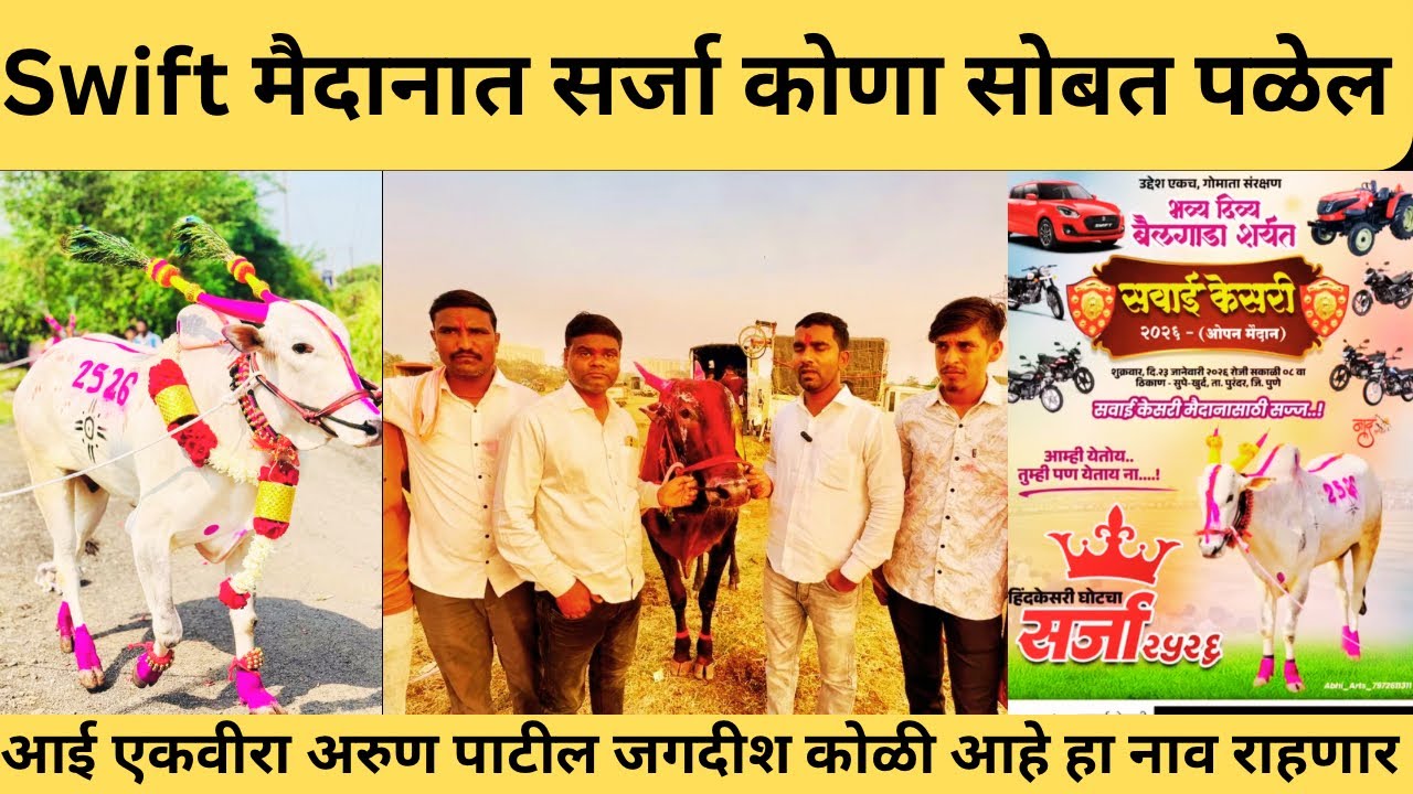 पिंट्या-जळवा विरुद्ध s k नाईक यांचा चंदर-तुफान मैत्रीपूर्ण लढत, सर्जा २३ ला येतोय सज्ज रहा चाहते 😍