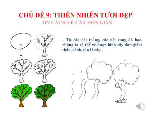 Tuần 26 - 22/4 - Mỹ thuật - Chủ đề 9: Thiên nhiên tươi đẹp Bài Vẽ cây - Giáo viên: Đỗ Toàn Khoa