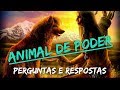 Perguntas e Resposta sobre Animal de Poder com Vitor Hugo França | Xamanismo em Você #92