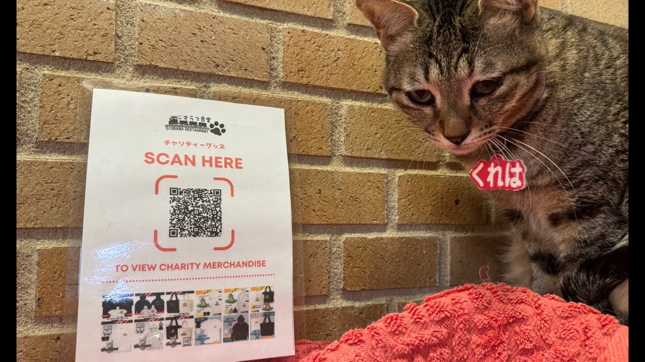 This is the QR code for our charity goods. Please take a look! - YouTube