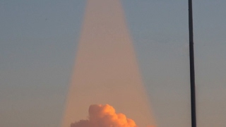 HM Hunter Live Stream