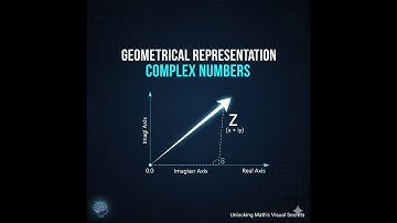 Geometrical Representation of Complex Numbers: What Does It Mean