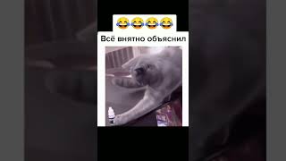 Все понятно объяснил