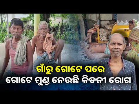 କିଡନୀ ରୋଗରେ ଆକ୍ରାନ୍ତ ହୋଇ ବିଗତ ୫ବର୍ଷରେ ୨୫ରୁ ଅଧିକ ଲୋକଙ୍କ ଗଲାଣି ଜୀବନ, ଏବେ ସରକାରଙ୍କ ପଦକ୍ଷେପକୁ ଅପେକ୍ଷା