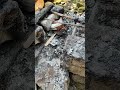 tempat bakar sampah
