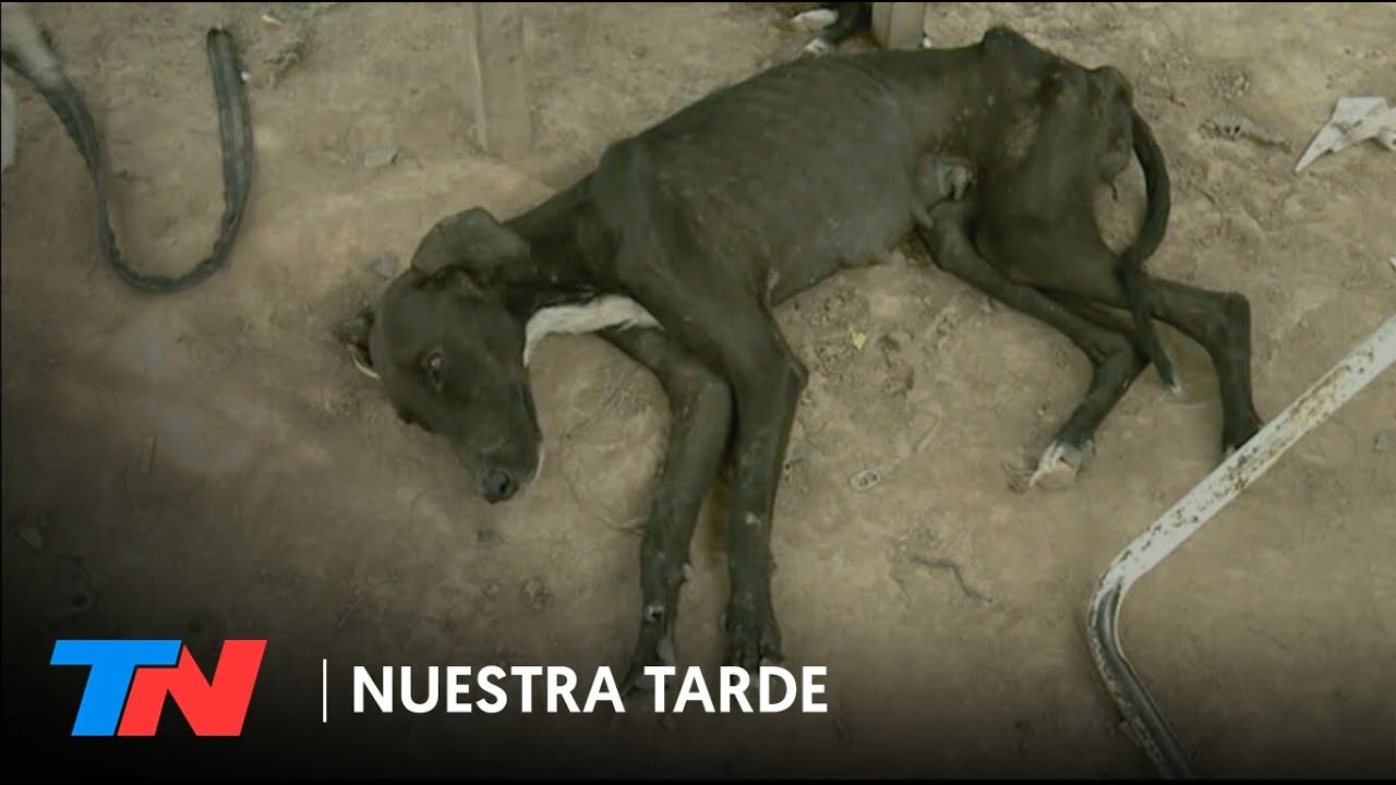 FORMOSA: OTRO PAÍS | Vivir sin nada: pobreza extrema en las comunidades indígenas de Río Bermejo