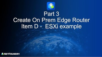 Getting Started with NetFoundry Part 3