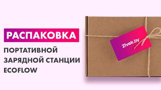 Распаковка — Портативная зарядная станция EcoFlow Delta 3 1500