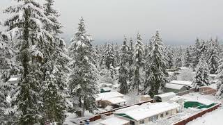 Can you fly a drone in heavy snowfall? Yes!