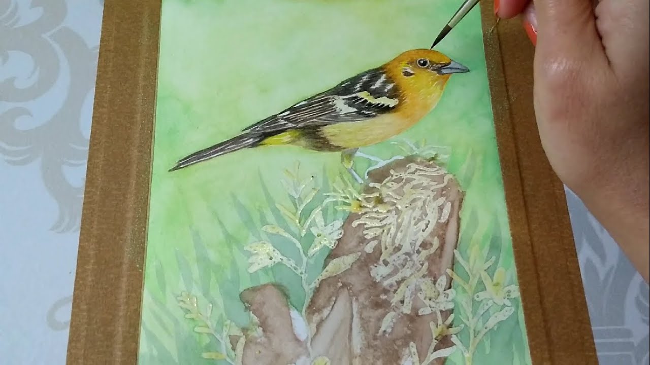 Pintura de pássaros em aquarela — Desafio de 21 dias para dominar