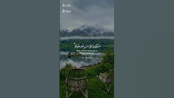 مُتَّكِئِينَ عَلَىٰ سُرُرٍ مَّصْفُوفَةٍ ۖ /سورة الطور /القارئ ابراهيم شرف