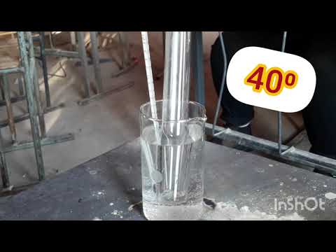 ენზიმები - \"ცოცხალი\" კატალიზატორები | გუნდი \"გოგირდმჟავა\"