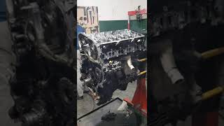 Desarme completo motor 5 cilindros Ford Ranger. by Taller Mecánico Los Amigos II 12,432 views 3 years ago 1 minute, 28 seconds