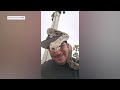 Snakes stolen while man sleeps in car