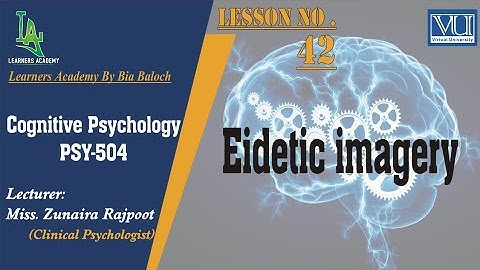Cognitive Psychology (PSY504) VU | Lecture No.42 | Learners Academy By Bia Baloch
