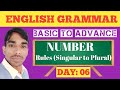 English Grammar। NUMBER। Rule from singular to plural।DAY:06।Noun।Basic to Advance। MS STUDY PAIGA