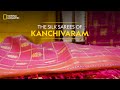 The silk sarees of kanchivaram  it happens only in india  national geographic