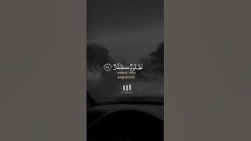 وءاتاكم من كل || قرآن كريم بصوت الشيخ ياسر الدوسري || حالات واتس اب دينية