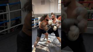 #Horse VS #Tarzan Boxing Match #AnabolicHorse X #JakubEnzl
