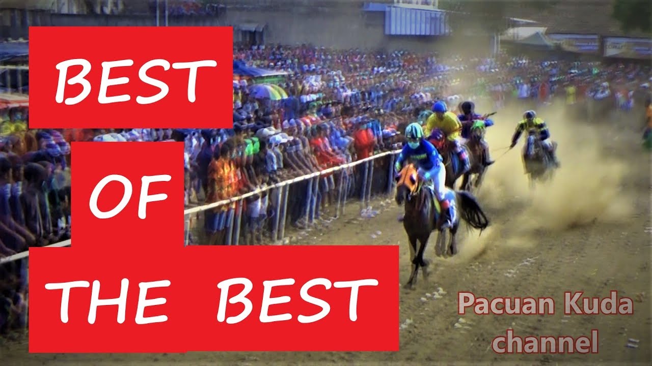 Best Of The Best Traditional Pacuan Kuda Youtube