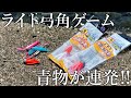 ［極小ジェット天秤＋弓角］を投げて巻くだけで青物が沸き上がるように釣れる！堤防ライト弓角釣りを紹介