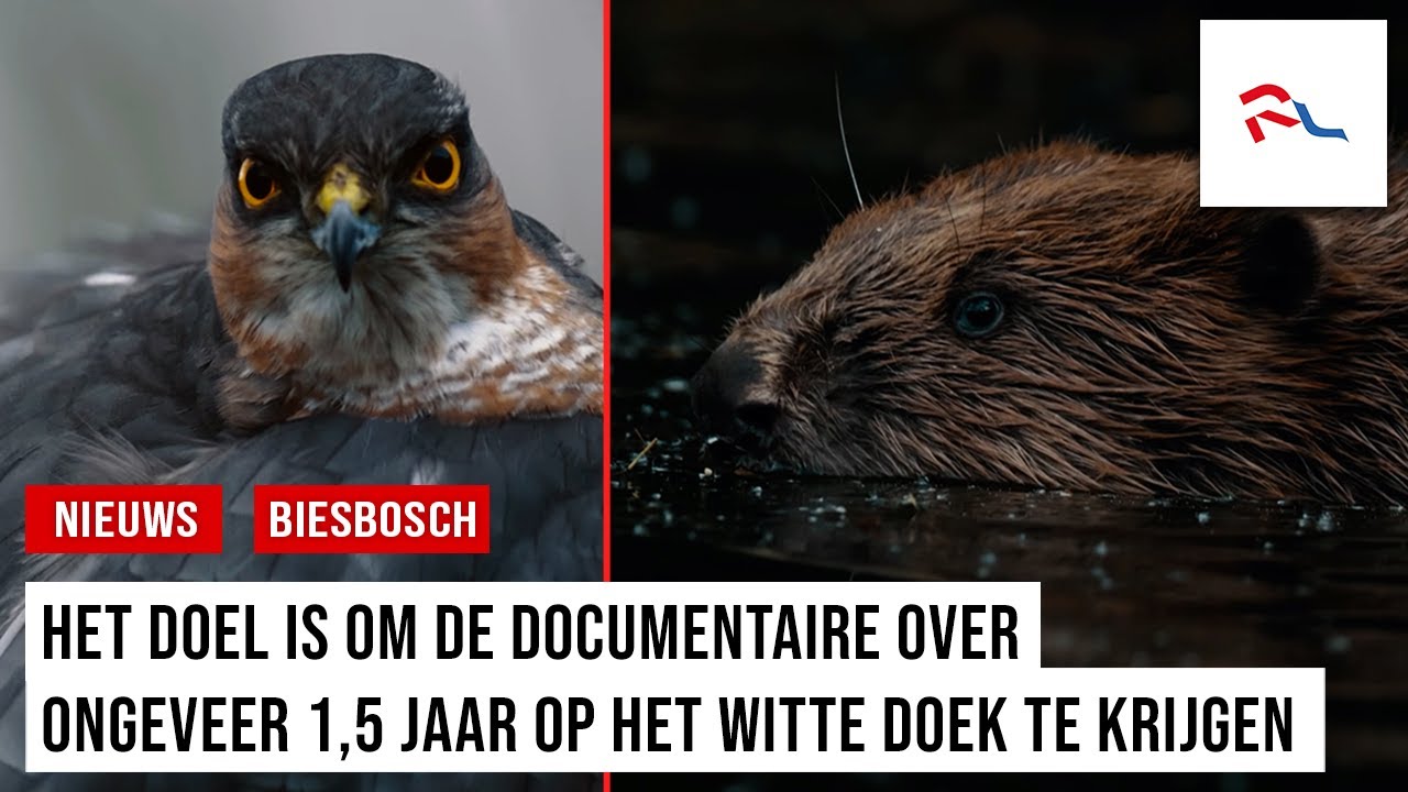 Makers natuurdocumentaire Biesbosch starten crowdfundingsactie