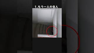 【トラウマ注意!】カメラが捉えた戦慄する心霊映像! #shorts #心霊 #ゆっくり解説