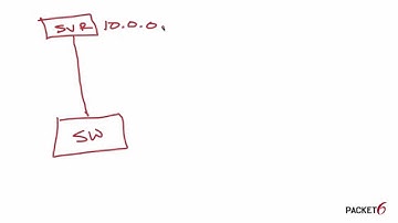 Configuring a Management IP Address