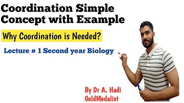 INTRO Coordination simple concept, Stimulus, receptor, effector