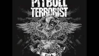 Watch Pitbull Terrorist You Did Try video