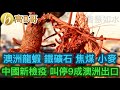 澳洲龍蝦 鐵礦石 焦煤 大麥 中國新檢疫 叫停九成澳洲出口 誠邀加入網台 ［智慧如水］ 20201102