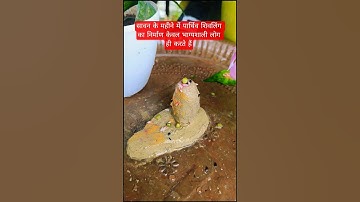 सावन के महीने में पार्थिव शिवलिंग का निर्माण🙏#trending#sawan2025#pradeepmishra#shorts#shivmahapuran