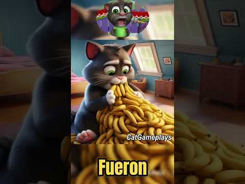 EL GATO TOM