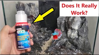Can You Cycle Your Aquarium Just By Adding Fluval Cycle Biological Enhancer?