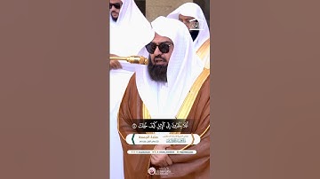 تلاوة لمعالي الشيخ #عبدالرحمن_السديس من صلاة الجمعة 20 جمادى الأولى 1446هـ.