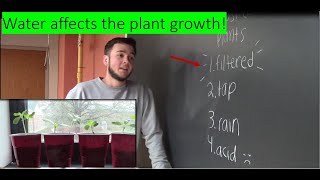 Experiment - Effect of Water on Plants Growth
