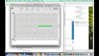 Celebrity Analyze primers on a plasmid using ApE Profile