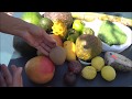 Пробуем тропические фрукты. Часть1/Tropical fruit sampling. Part 1