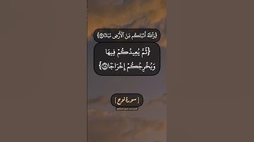 سورة نوح الآية ١٥ الى ٢٠ بصوت الشيخ محمد صديق المنشاوي