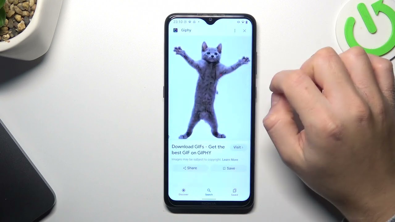 How To Download a GIF on Any Device