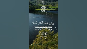 تلاوة خاشعة عطرة مباركة جميلة عذبة للشيخ سعد الغامدي سورة الزلزلة