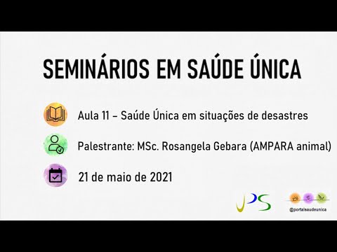 Vídeo: Cão desalojado pelo furacão Harvey é levado para sua nova família para sempre, graças a você