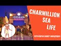 Charmillion Sea Life. Обзор территории и номера, концепция. Египет в Октябре 2021.