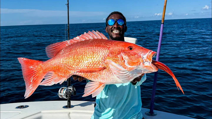 GIANT Snappers & Grouper! Deep Sea Fishing (Catch Clean Cook)
