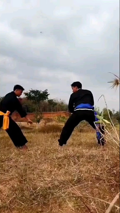 IKSPI X PSHWTM #shorts #ikspi #pshw #ikspipusatmadiun #pshwindonesia #ikspiindonesia #pshwtm1903