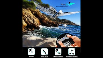 MetaFly by Bionic Bird . The best RC Dragonfly. A mini insect drone that flies with its own wings.