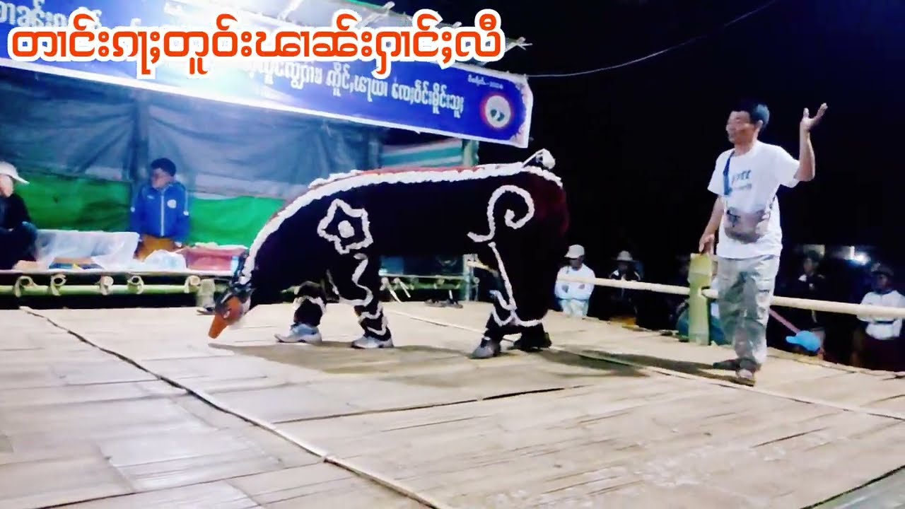 တၢင်းၵႃႈတူဝ်း၊ ပီႈၼွင်ႉ ပွၵ်ႉမၢႆ-2၊ ဝဵင်းမိူင်းသူႈ #youtube #shan #嗡嗡嗡 #dancevideo #အက 