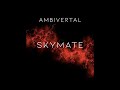 Skymate Different Things Original Mix Ambivertal mp3