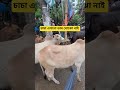 চাচা এখনো ভাব বুঝে নাই #foryou