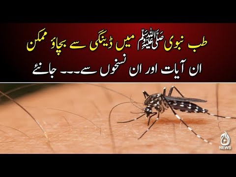 Videó: A Kreatinkináz és A Májenzimek értékelése A Súlyos Dengue-dengue Azonosítása Során